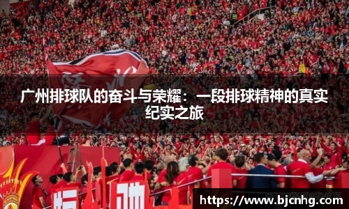广州排球队的奋斗与荣耀：一段排球精神的真实纪实之旅
