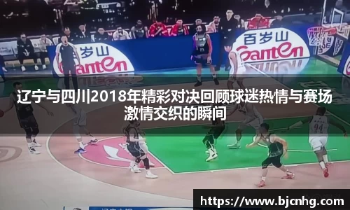 辽宁与四川2018年精彩对决回顾球迷热情与赛场激情交织的瞬间